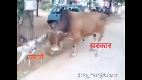 Government Vs India Citizen😂😂😂😂B⁠-⁠)8⁠-⁠):⁠^⁠):⁠^⁠)