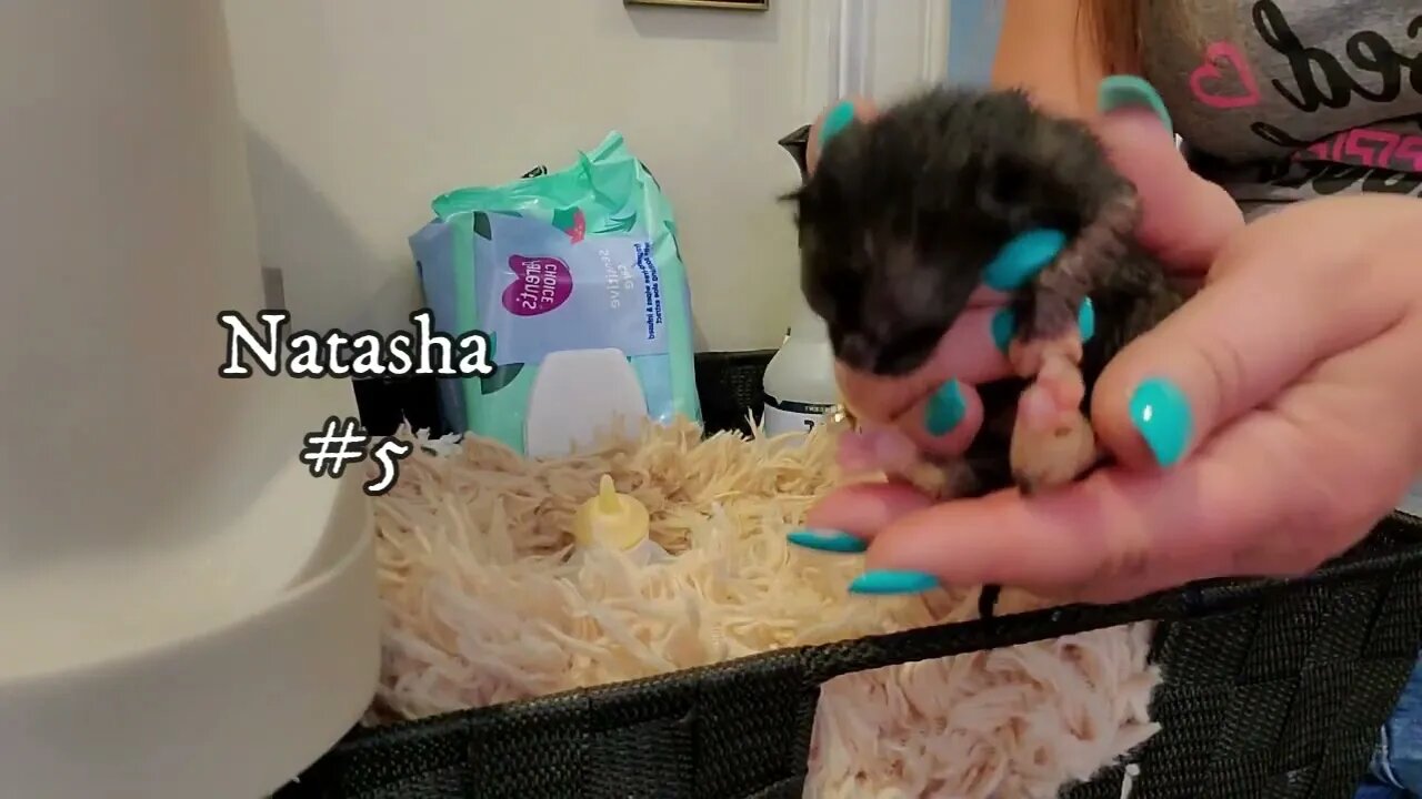 Meet The Avenger Babies