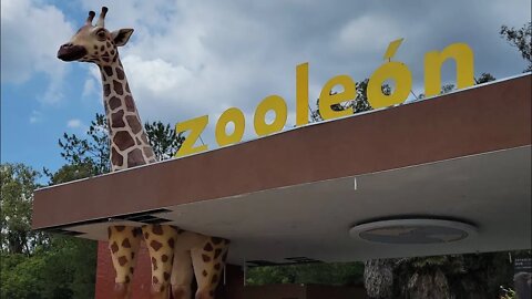 Leon Guanajuato Zooleon 2021 #shorts