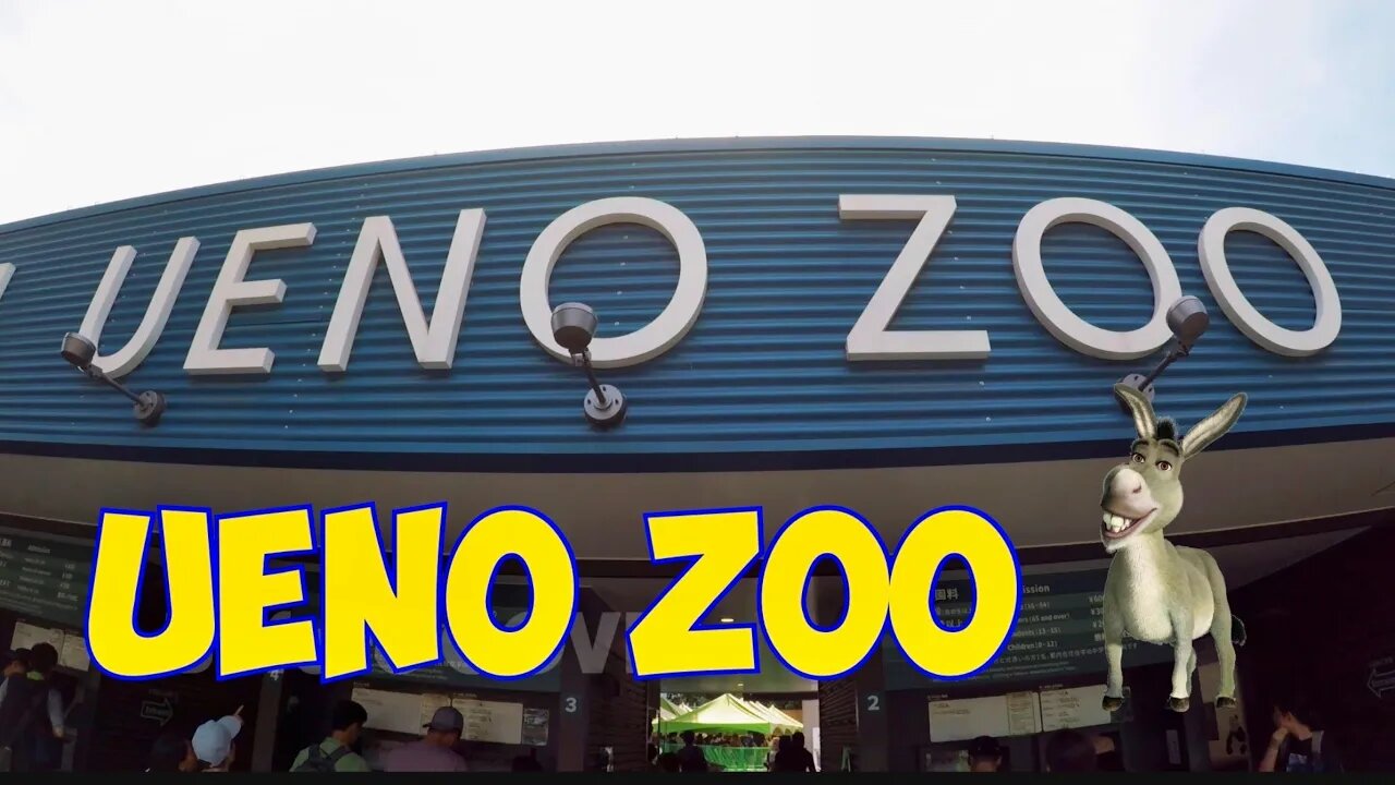 [4K] Ueno Zoo 🦁🐘🐧 2019