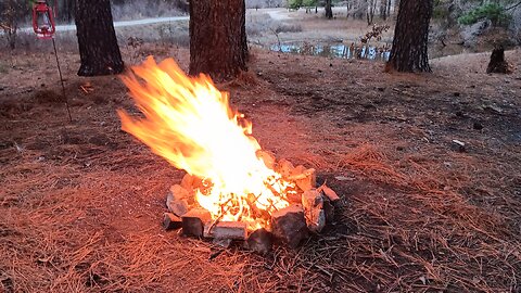 2 Camps LBJ Grasslands