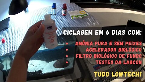 🔴 Ciclagem do Aquário de Guppy - Com Acelerador Biológico (EM TEMPO RECORDE) - EP. 02