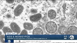 Can you get monkeypox from contact sports? Here's what health officials are saying