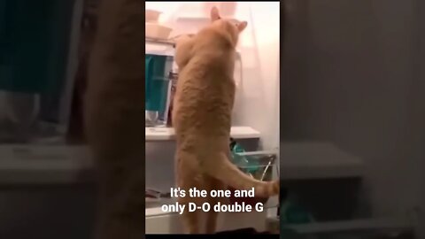 It's the one and only D-O double G #shorts