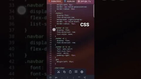 HTML CSS