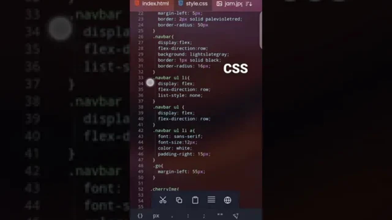 HTML CSS