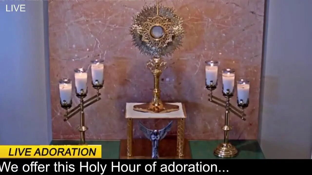 We offer this Holy Hour of Prayer and reflection
