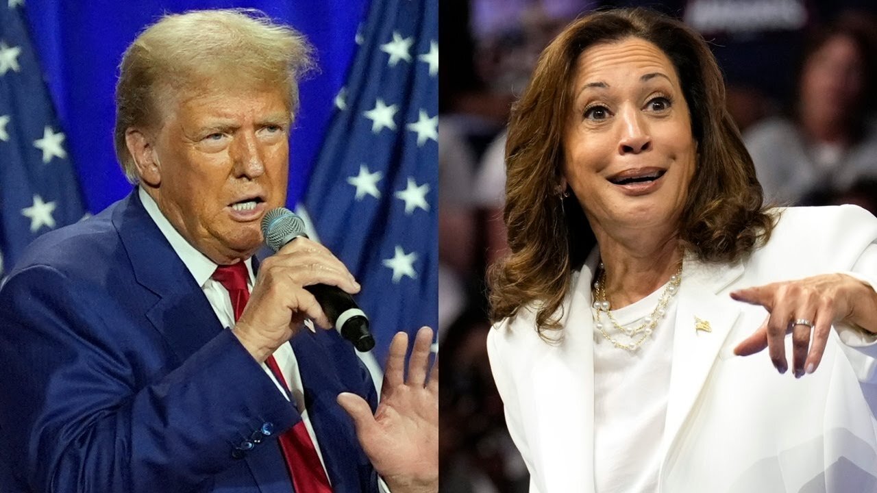 ‘Clean sweep’: Donald Trump beats Kamala Harris in ‘landslide’