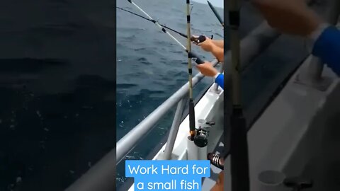 I thought is a big fish!!!🥰