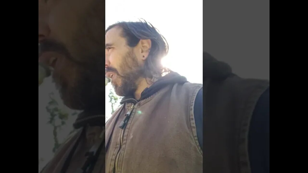 I Am A Pretty Cow Moose?