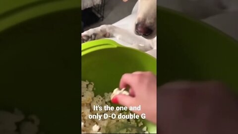 MEME is the one and only D-O double G #shorts