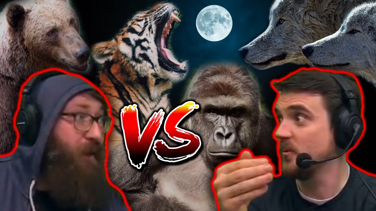 Tom and Ben vs bear vs gorilla vs tiger vs 2 wolves