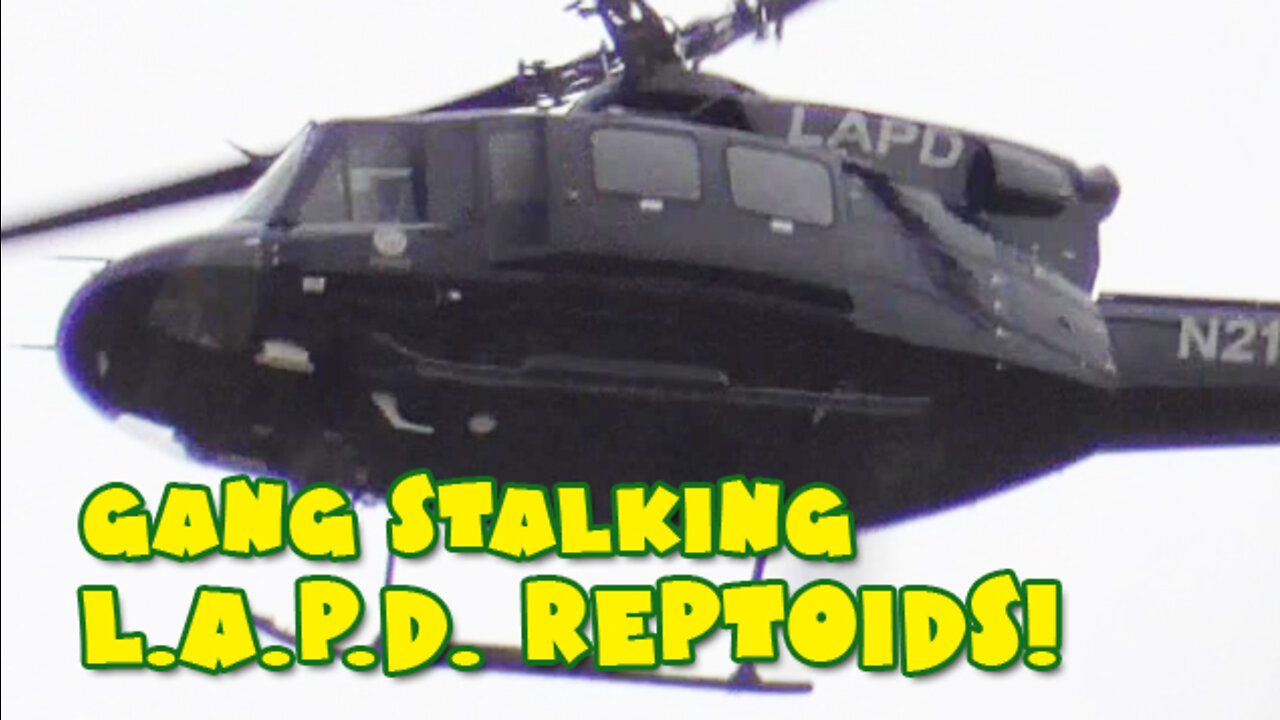 734. GANG STALKING BY REPTILIANS BRUCE UPDATE 1-14-2022