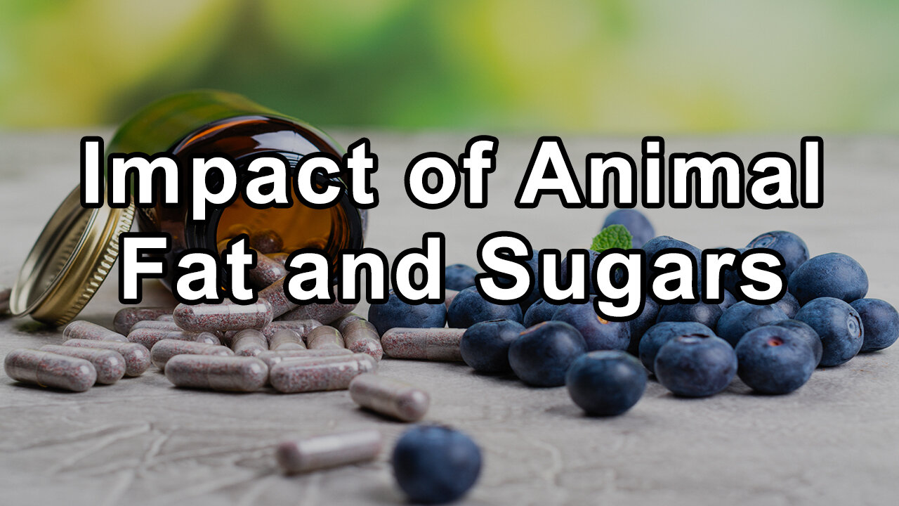 The Underestimated Impact of Animal Fat and Sugars on Health