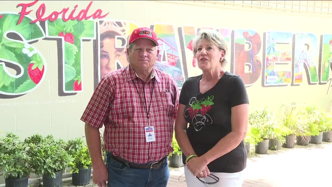 True love at the Strawberry Festival