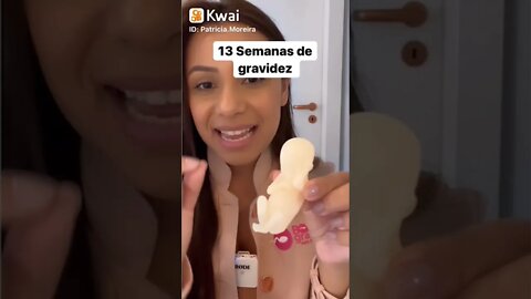 13 Semanas de gravidez