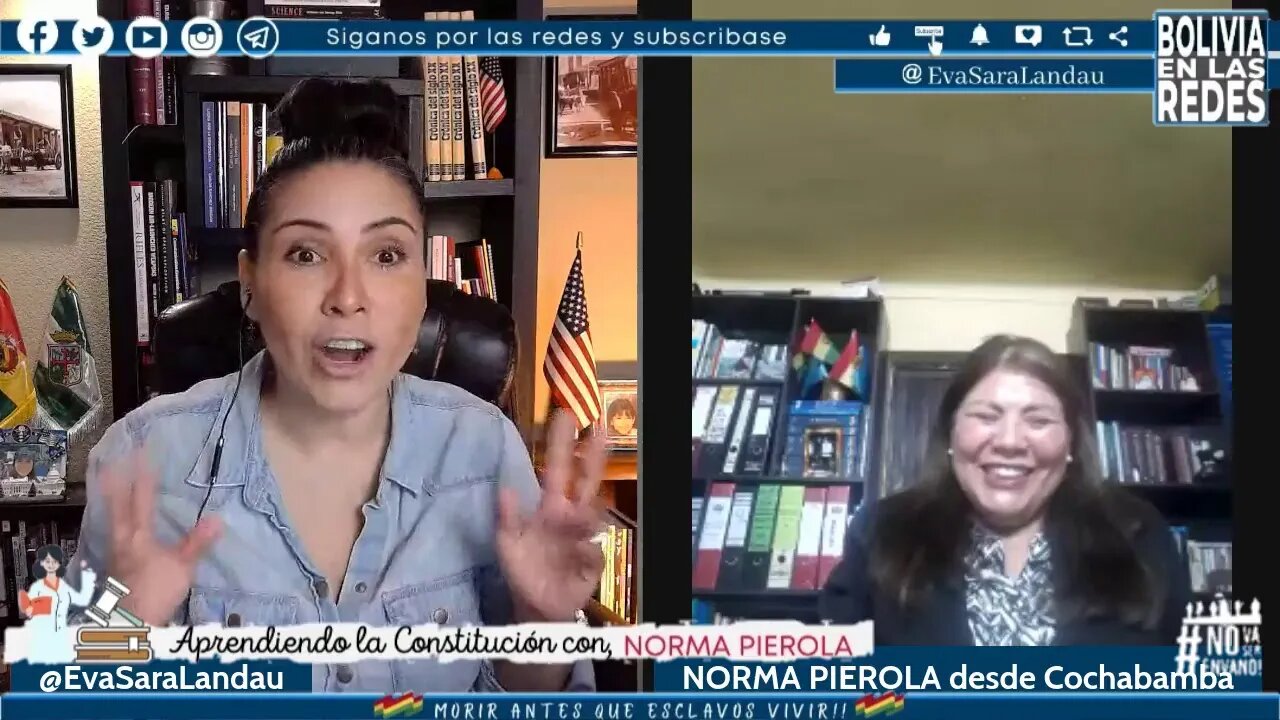 APRENDIENDO LA CONSTITUCION CON NORMA PIEROLA