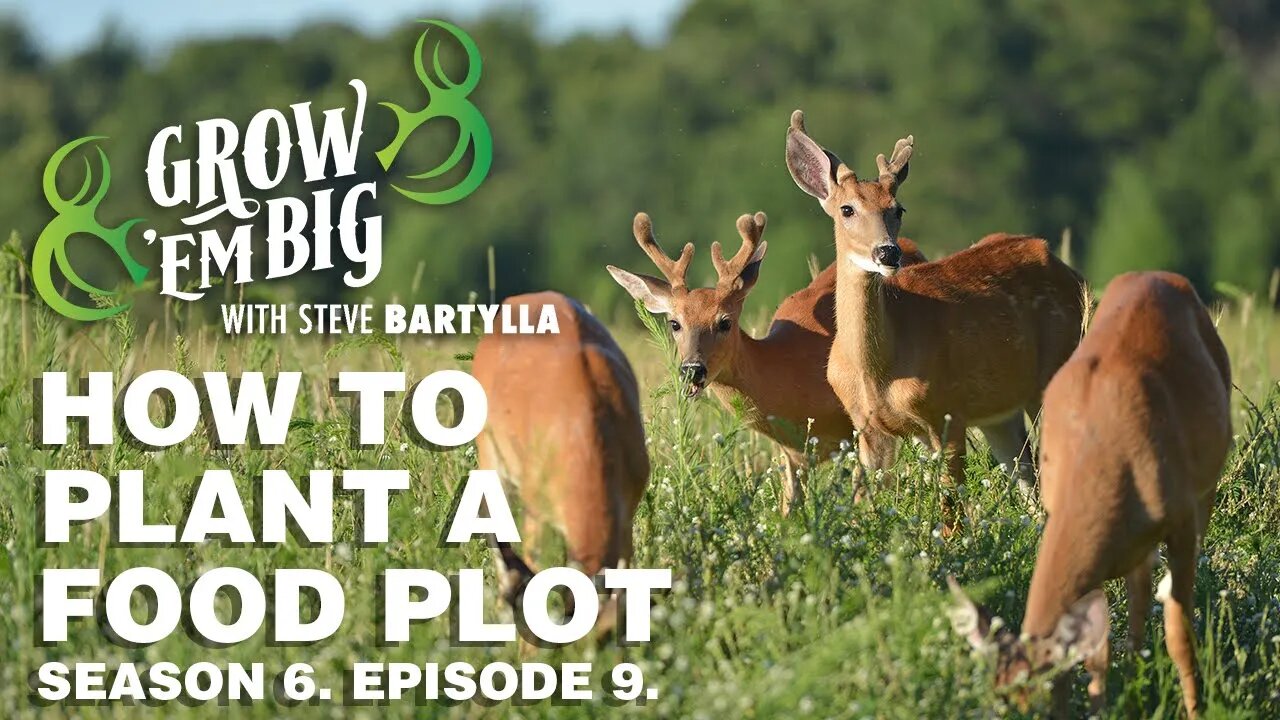 How to Plant a Food Plot