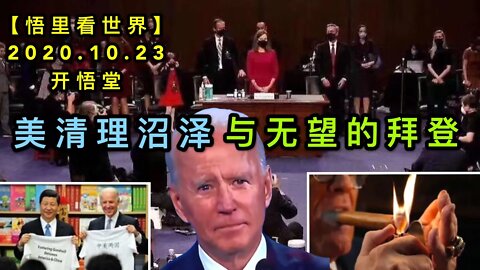 【悟里看世界】KWT70 201023-04 mqlzz 美清理沼泽与无望的拜登