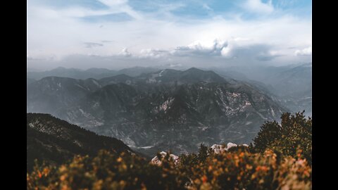 Nature