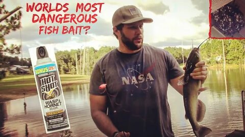 Fishing with Worlds Most Dangerous Bait!