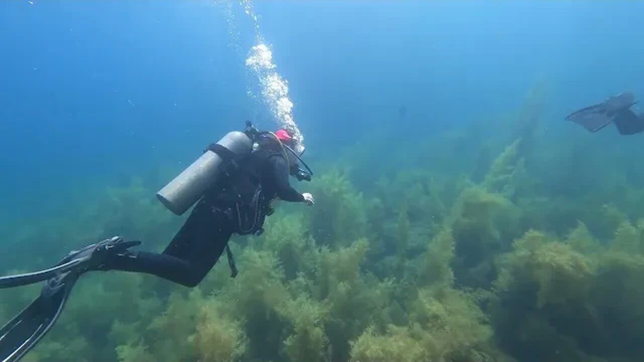 Isla San Pedro (extended version) - San Carlos Mexico