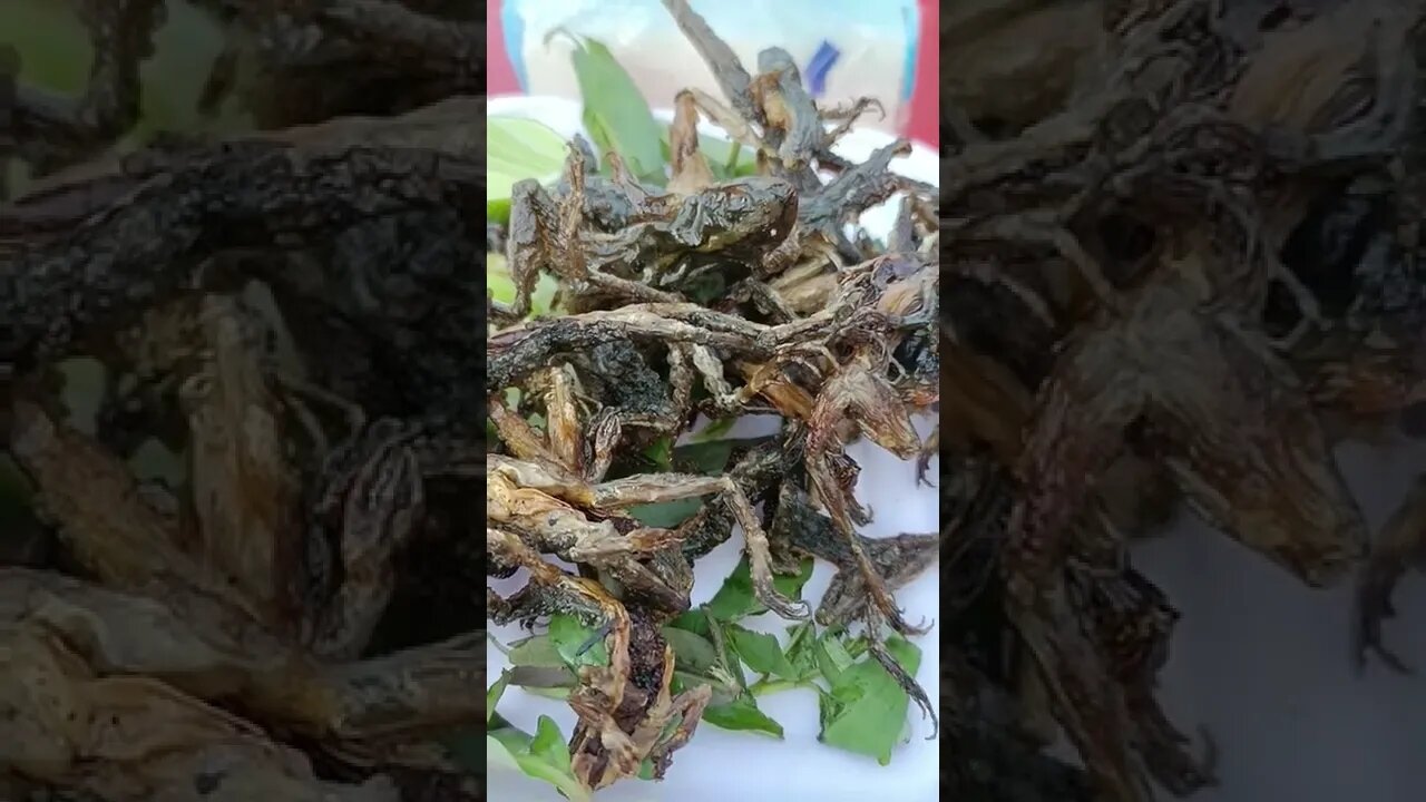 Fried Baby frogs #shorts #siemreap2022 #amazingtourcambodia
