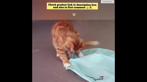 Cat toys 😺 funny videos😹 872 😻#shorts #cutecat #catvideos #catproduct #shortsfunny #catscare #cat