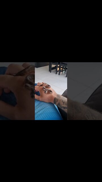 Darwin Carpet Python Hatchling