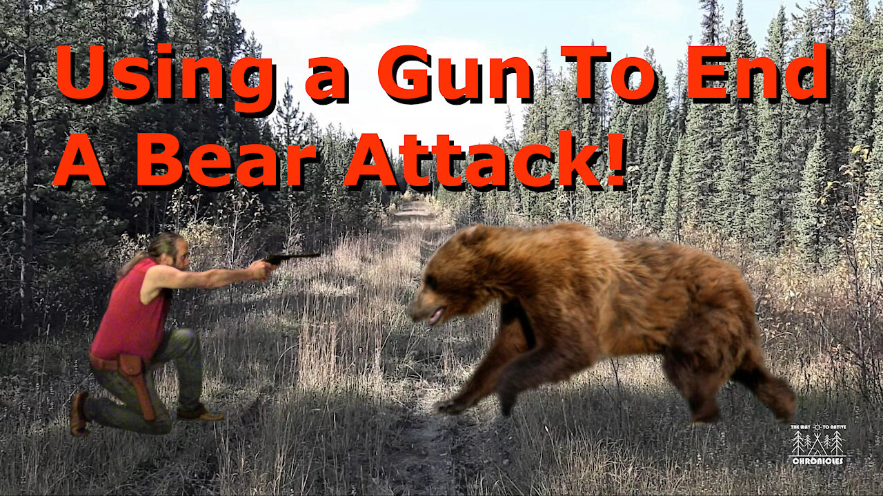 Using a Gun To End a Bear Attack!