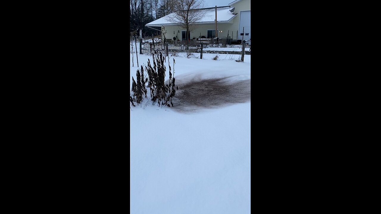 Angel wings in the snow