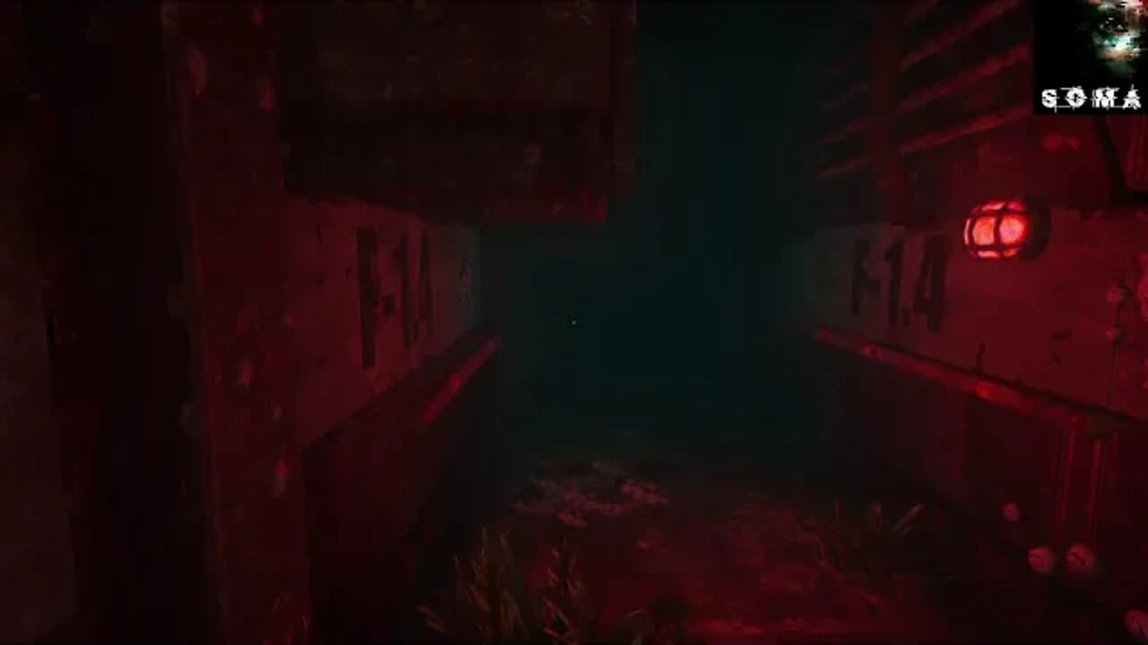 SOMA Part 6-Replacement Chip