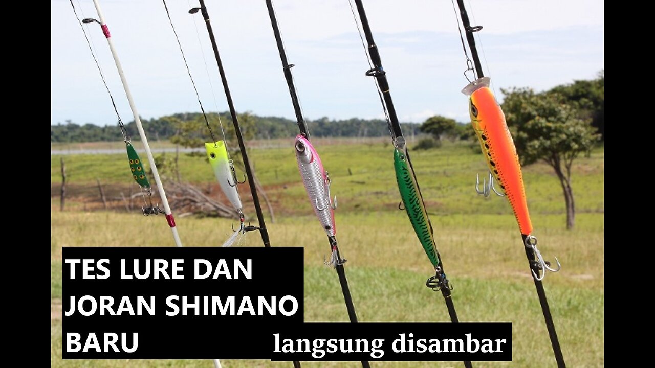 Lure Test! BIG Fish in New Shimano Curado #fishing #shimano #lure