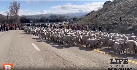 Table Rock region in Eagle, Idaho, as a crowd observed them crossing Idaho Highway 55.