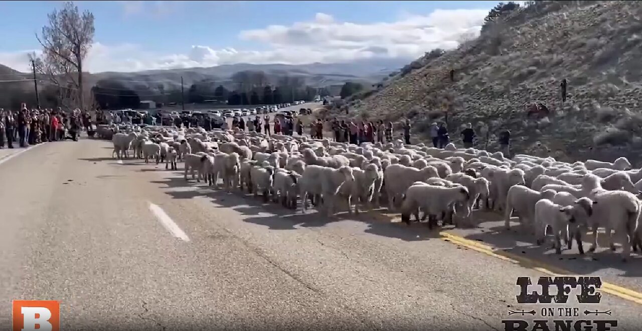 Table Rock region in Eagle, Idaho, as a crowd observed them crossing Idaho Highway 55.