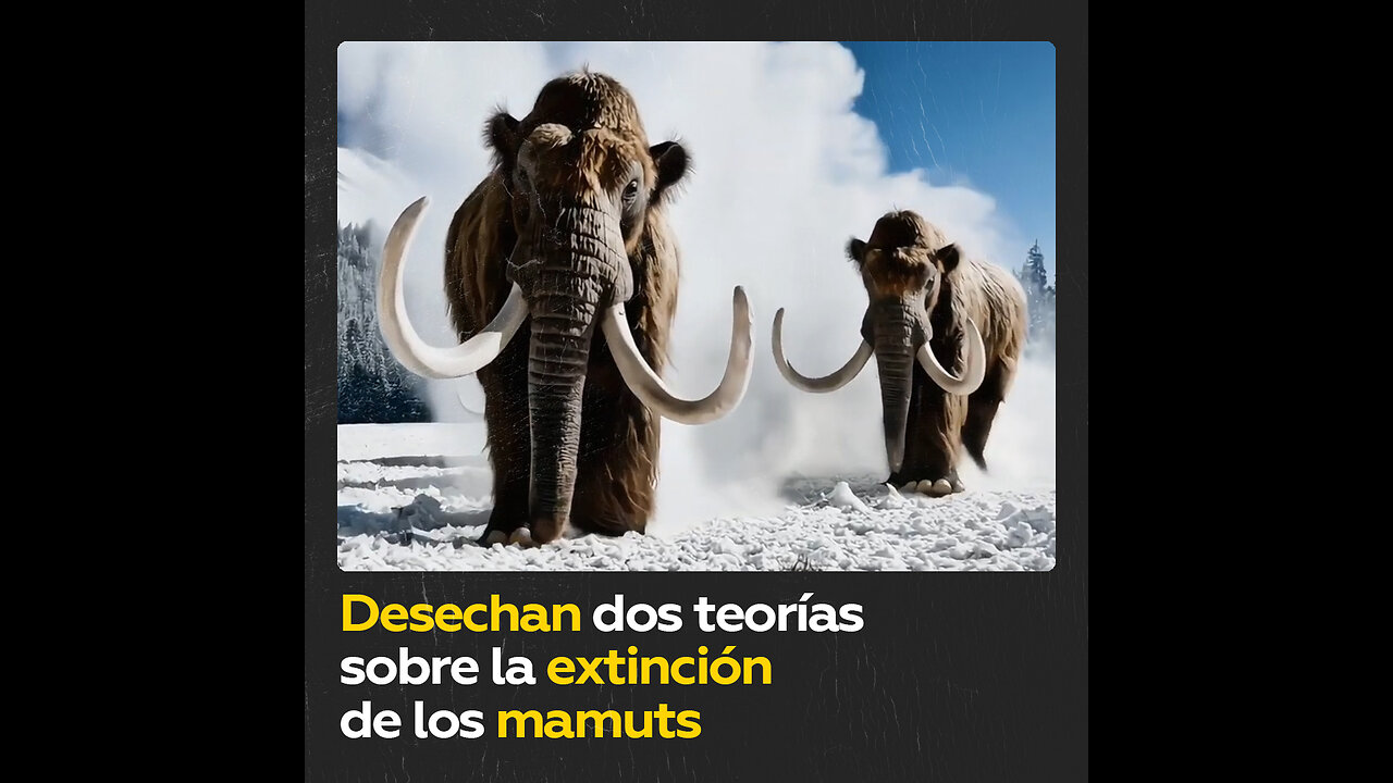 Estudio echa por tierra las explicaciones sobre la extinción de los mamuts