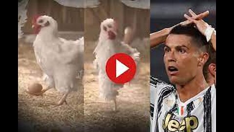 if ronaldo was a chicken