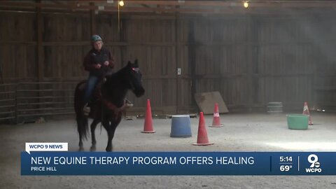 New horse therapy program is coming to the Queen City