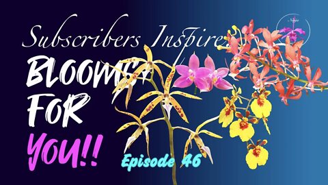 SUBSCRIBERS INSPIRE| You color my life | Blooms for YOU! Episode 46 🌸🌺🌼💐#Orchids #OrchidsinBloom