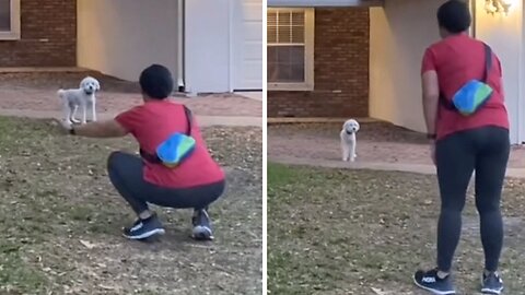 Pup gives owners hilarious retribution after vacation abandonment