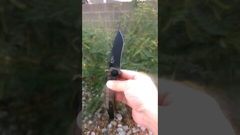 🗡New Knife Day!! #shorts #everydaycarry