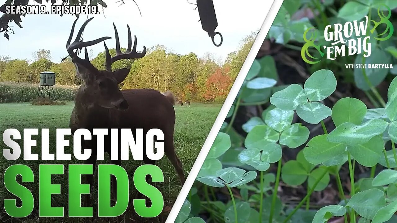 Expert Tips for Optimal Nutrition and Giant Deer Growth
