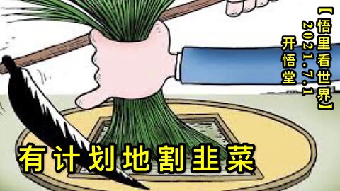 KWT2016有计划地割韭菜20210701-8【悟里看世界】
