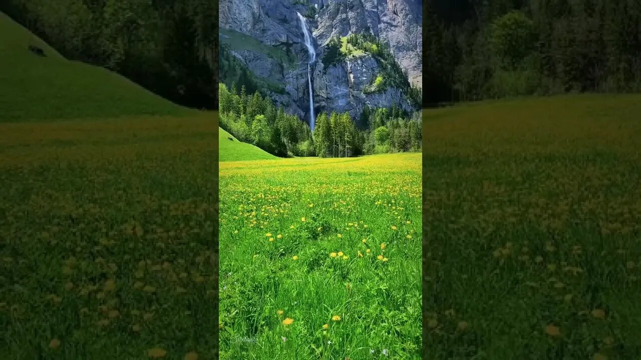 POR FAVOR INSCREVA ME AJUDA - PLEASE SUBSCRIBE HELP ME