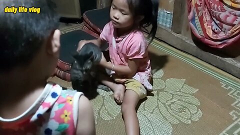 Babies and cats play with dentistry | daily life vlog