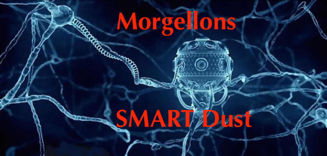 Morgellons Disease Explained： Chemtrails, Nanobots & 5G ...