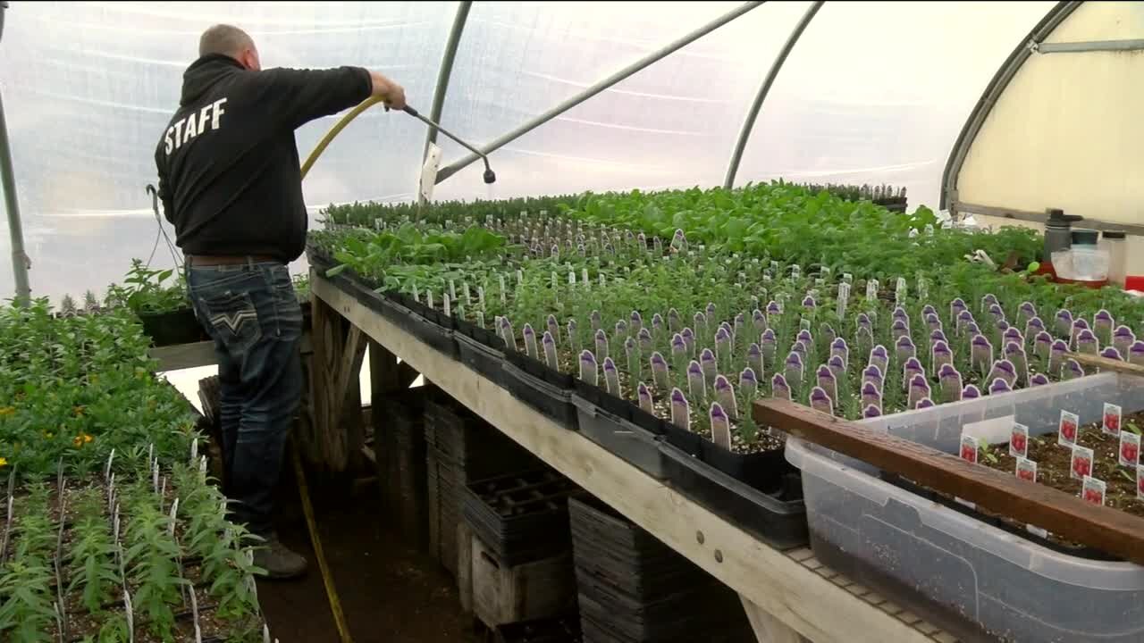 Why Mequon's popular Barthel Fruit Farm will no longer grow strawberries