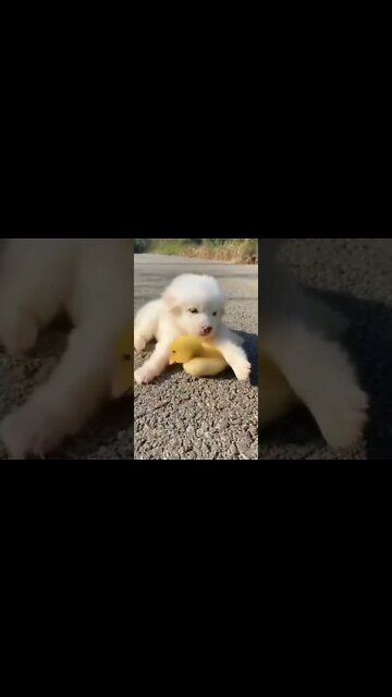 QUANDO O PAI DELA NÃO VAI COM A MINHA CARA🤣🤣🤣