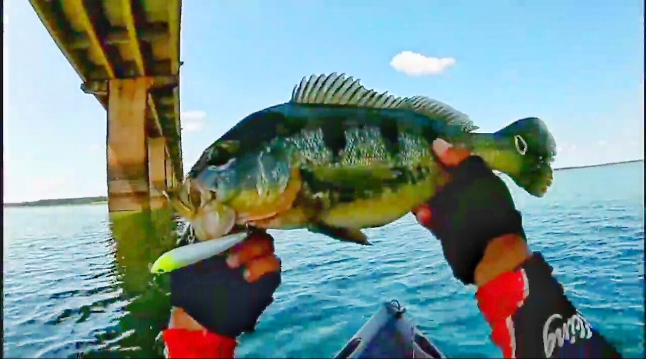 #3 Fishing Peacock Bass - Kayak Fishing