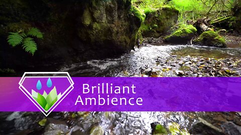 Nature Sounds - Water stream Deep in the Forest - Study & Relax